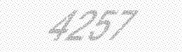 Visual security code — type the characters shown in the image